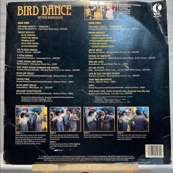 Black and Yellow Bird Dance Vinyl Record - Picture 2 of 6